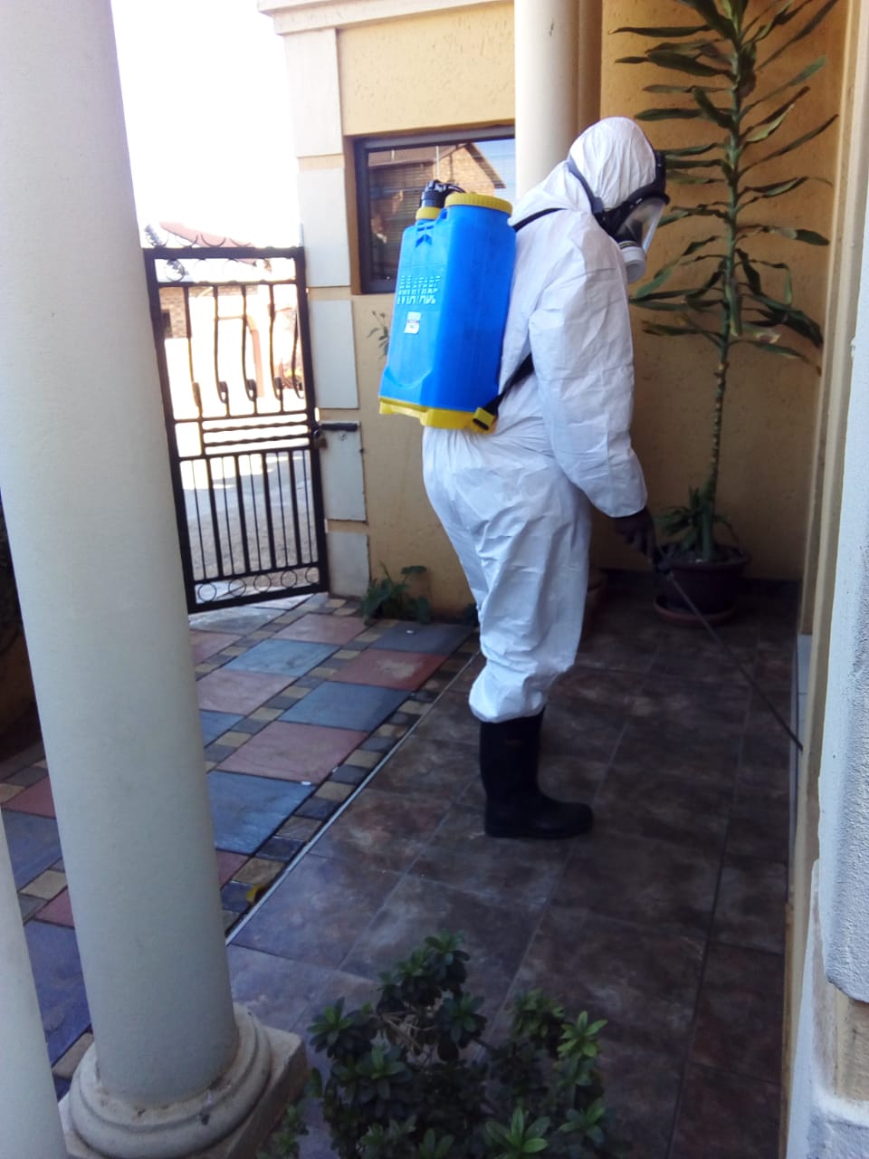 Rodent control treatment